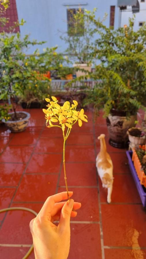 Daisy'S Stay Hanoi Eksteriør billede